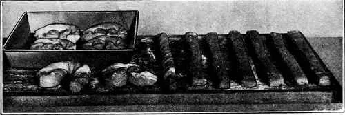 Brioche: Process Of Shaping Into Coffee Rolls