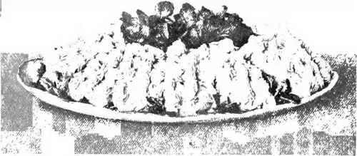 Cream Of Chicken Glace, With Cress Salad