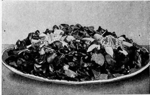 Cress And Egg Salad