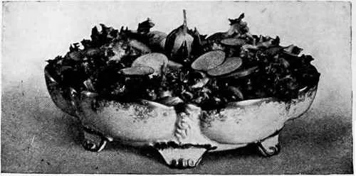 Endive Salad Recipe