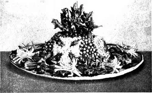 Scallop Salad